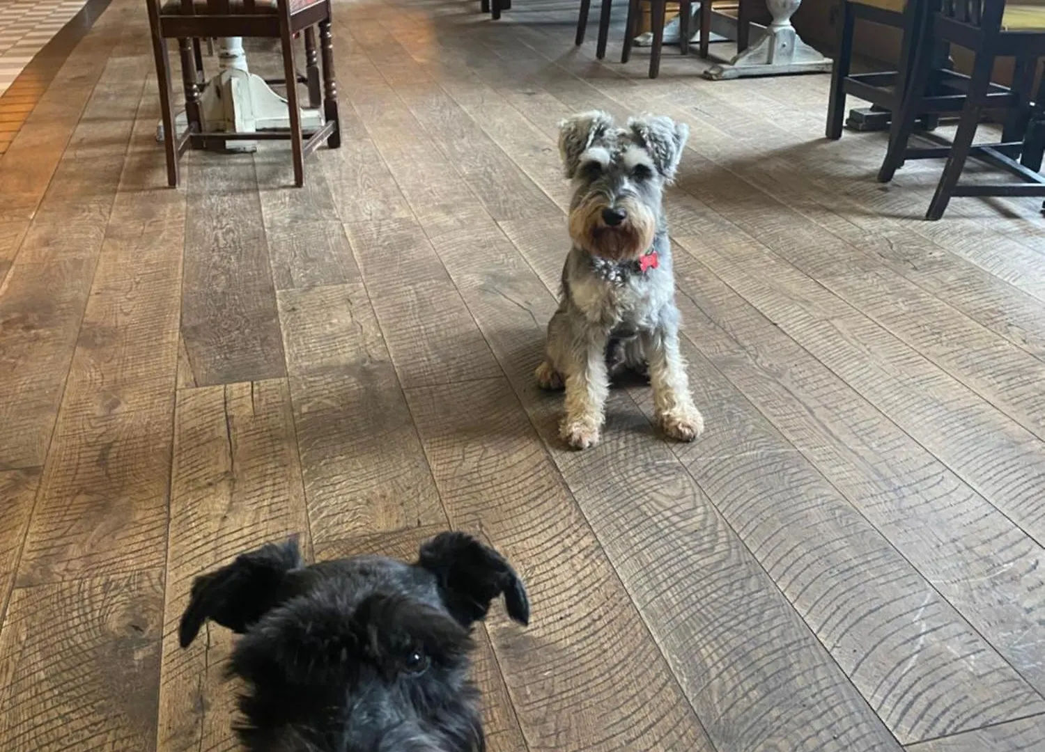 The Black Hat Ilkley 3*,